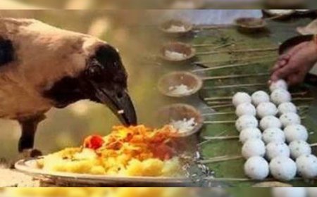 कौए का पिण्ड छूने का वैज्ञानिक आधार क्या है...