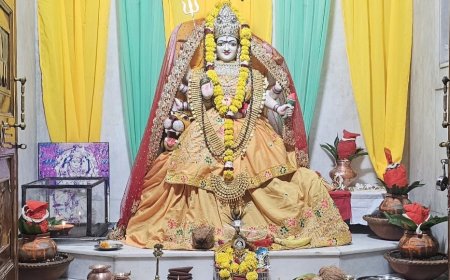 नवरात्र में श्री दुर्गा पूजा के साथ साथ नव औषधियों  के बारे में भी जाना चाहिए...