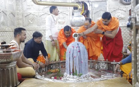 भारतीय जनता पार्टी के राष्ट्रीय अध्यक्ष व केंद्रीय मंत्री श्री जे.पी नड्डा जी, मुख्‍यमंत्री डॉ. मोहन यादव एवं प्रदेश प्रभारी डॉ. महेंद्र सिंह ने मंगलवार को उज्‍जैन में भगवान महाकाल के दर्शन कर देश-प्रदेश की खुशहाली के लिए कामना की।