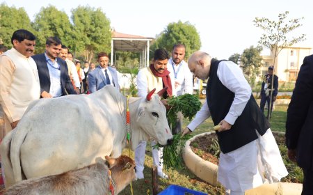 गौ माता भारतीय संस्कृति में पूज्य होने के साथ-साथ ग्रामीण जनों की समृद्धि व शिशुओं के पोषण का माध्यम भी हैं।