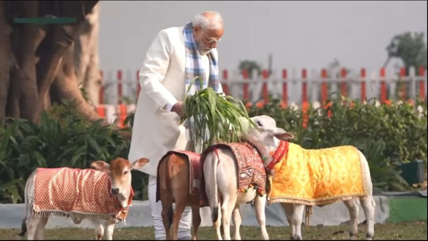 आपको संक्रांति की हार्दिक शुभकामनाएं, यह त्योहार प्रकृति के साथ हमारे बंधन को और गहरा करता है।