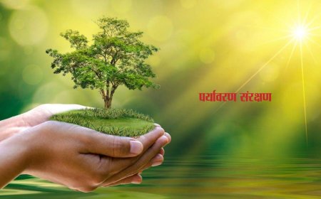 पर्यावरण और सामाजिक स्वास्थ्य : केवल प्राणियों के लिये ही नहीं संपूर्ण सृष्टि के लिये महत्वपूर्ण